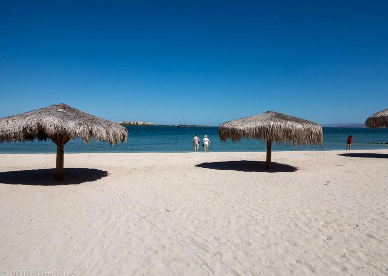 Discover the Best Things to Do in La Paz, Mexico Discover the Best Things to Do in La Paz, Mexico