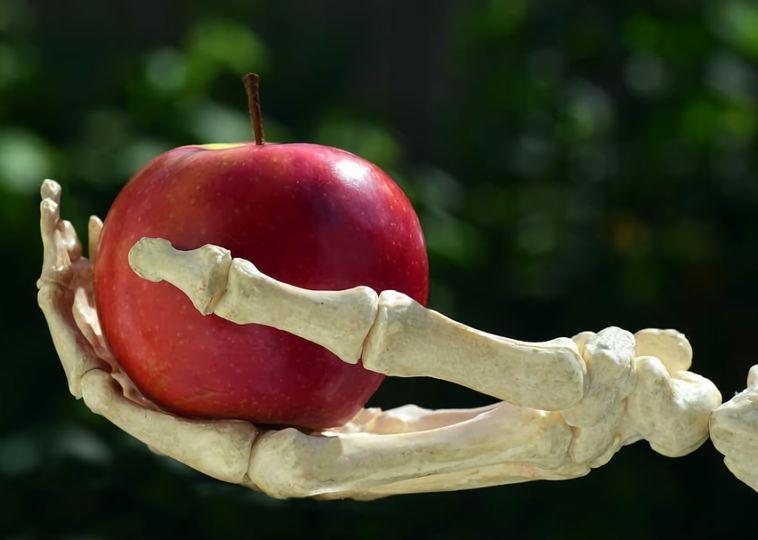 The 5 Dangerous Foods We Enjoy to Eat The 5 Dangerous Foods We Enjoy to Eat