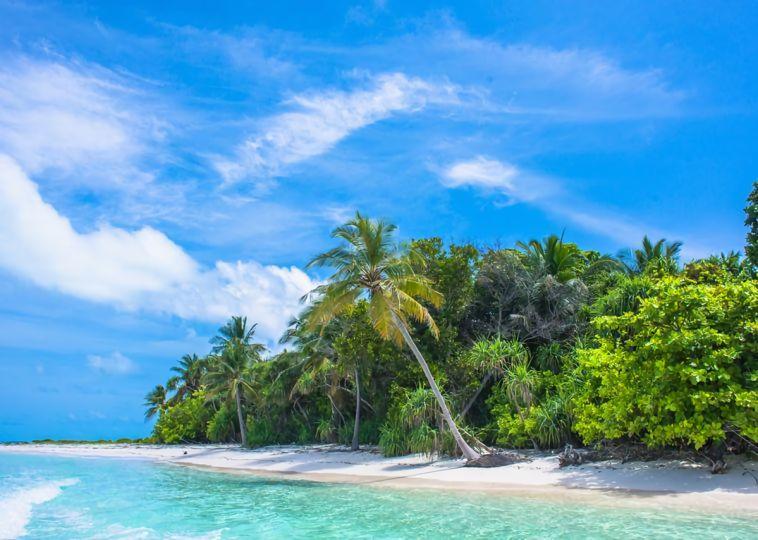 5 of Most Desirable Tropical Islands in the World 5 of Most Desirable Tropical Islands in the World