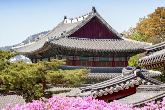 Seoul in A Day: Exciting Experiences You’ll Love