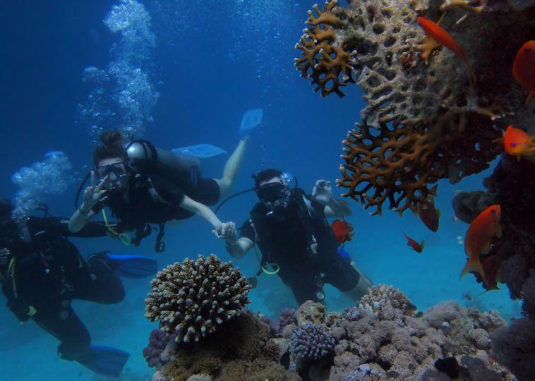 5 Most Unique Places to Go Scuba Diving 5 Most Unique Places to Go Scuba Diving